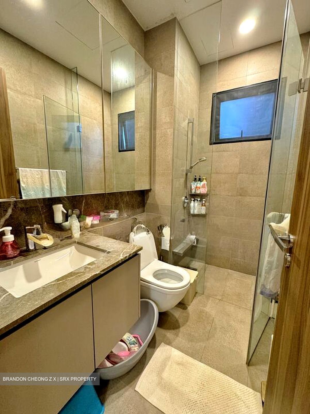 Daintree Residence (D21), Condominium #498163401